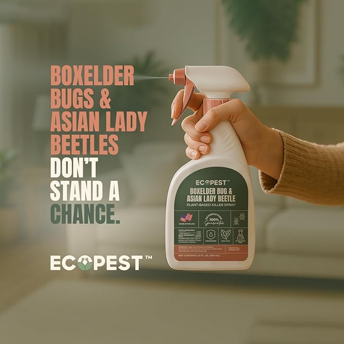 Boxelder Bug & Asian Lady Beetle Spray – Natural, Plant-Based Indoor & Outdoor Killer | Non-Staining, Safe for Doors, Windows, Siding & Baseboards | Child & Pet Safe, Low Odor, Eco-Friendly (1 Gallon)