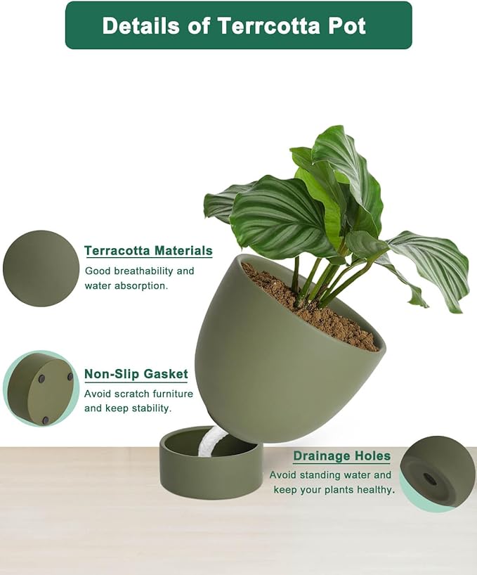 vensovo Green Terracotta Self Watering Plant Pot - 2 PCS 6 Inch & 8 Inch Terra Cotta Plant Pot with Drainage Hole and Saucer, Small & Large Clay Flower Pot with Tray, Planter for Indoor Outdoor