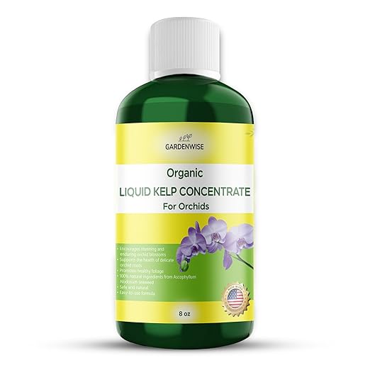 GARDENWISE Organic Premium Kelp Seaweed Concentrate: Fertilizer for Orchids - Orchid Food (8 OZ)