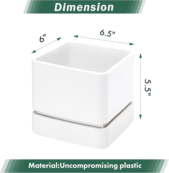 D'vine Dev 6 Inch Herb Planter Pot, Plastic Planter with Drainage Holes and Saucer, Modern Decorative Gardening Pot for Indoor Plants, Flowers, Herbs, Succulents, White, Set of 1, 76-Y-A1-2