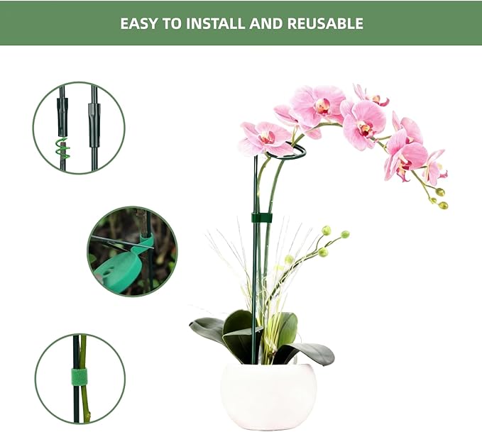 2 Pack Plant Support Sticks, 3 Sizes (12 or 24 or 36 inch) Garden Plant Stake, Plant Support Rings for Indoor Outdoor with Plants Ties, Plants Stakes for Flowers, Climbing Plants, Orchid