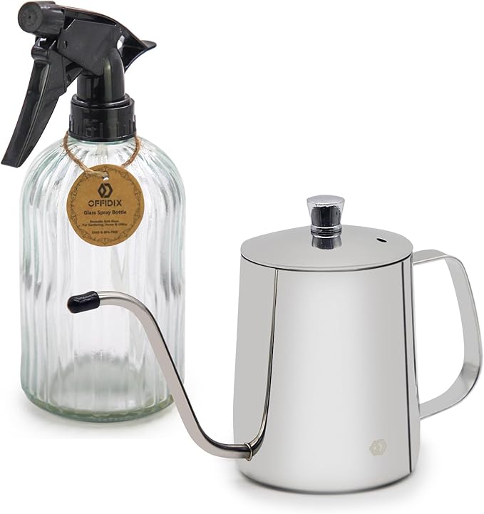 OFFIDIX Watering Can for Indoor Plants,Long Spout Metal Stainless Steel 21 oz Watering Can with 14 oz Glass Plant Mister Spray Bottle for House Plant Bonsai