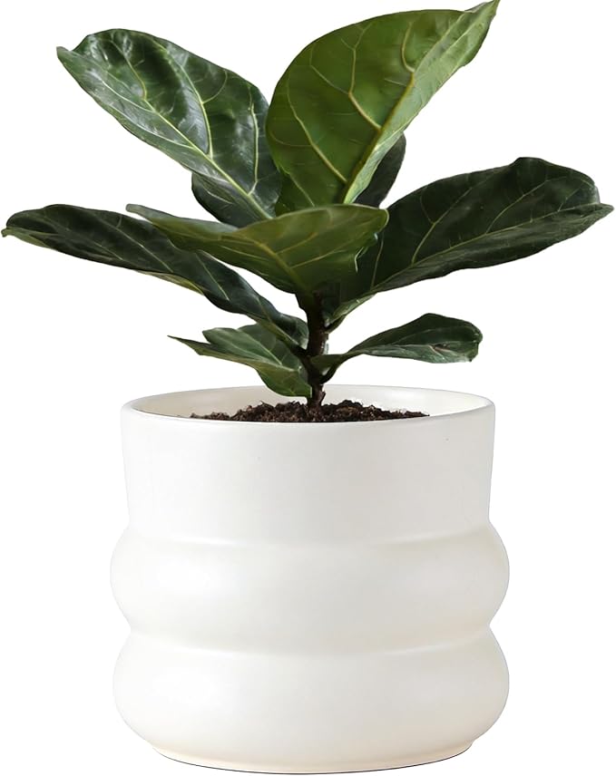 6 Inch Plant Pot,Ceramic Planter Pot with Drainage Hole,Indoor Planters for Herbs Plants,Ceramic Flower Pots for Indoor/Outdoor Plants,Home Office Garden Décor,Cream White