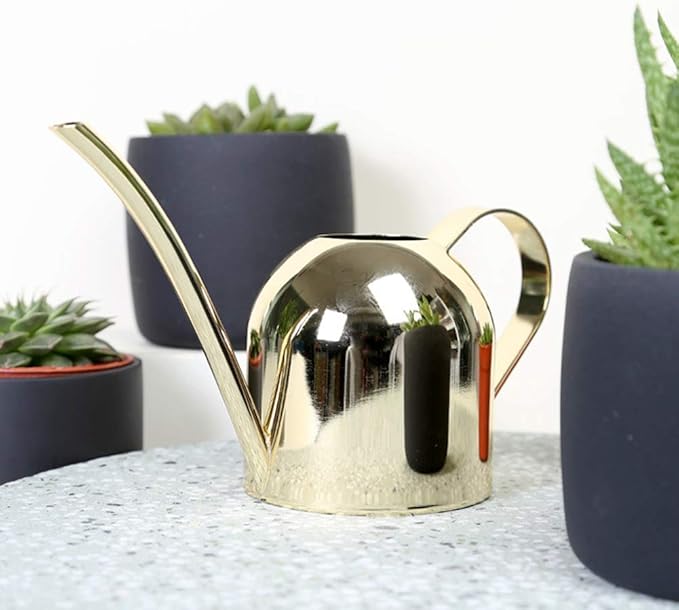 Watering Can, Stainless Steel Watering Can Mini Watering Pot Plant Watering Can with Long Spout Houseplant Potted Watering Can for Outdoor Office Succulent Bonsai Garden Flower Gift 500ml(Gold)