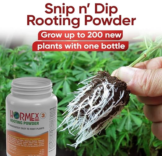 Hormex Rooting Powder #3 (0.30% IBA) for Common Houseplants, Flowers & Garden Varieties - Starter Strength Root Powder, Root Stimulator for Plants, Rooting Hormone for Cuttings, Cloning & Propagation