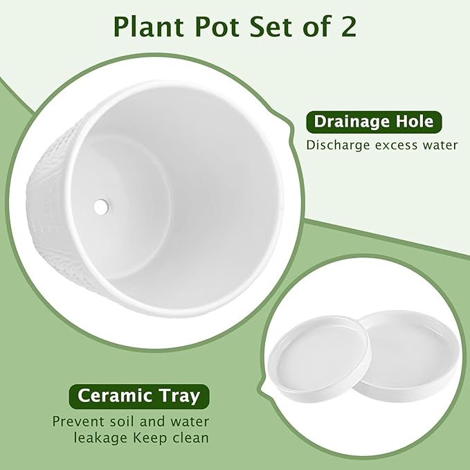 Ceramic Planter,5+6 Inch Ceramic Flower Pots with Drainage Hole&Tray,Embossed Seashell Design Plant pots,Planters for Indoor Plants Succulent Cactus,Flower Pot Home Decor-Set of 2,White