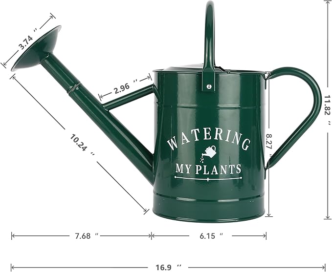 Garutom Galvanized Watering Can for Outdoor Indoor Plants, 1 Gallon Decorative Countryside Water Can with Removable Spout, Metal Watering Can for Indoor Plants and Garden Flower (Green)