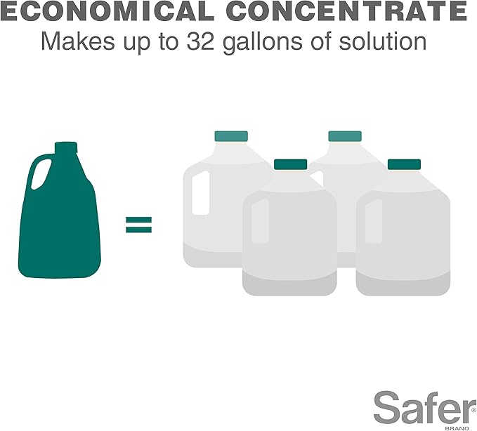 Safer Brand 5192-6, 16 oz Horticultural & Dormant Spray Oil Concentrate, 1 Pack, Green