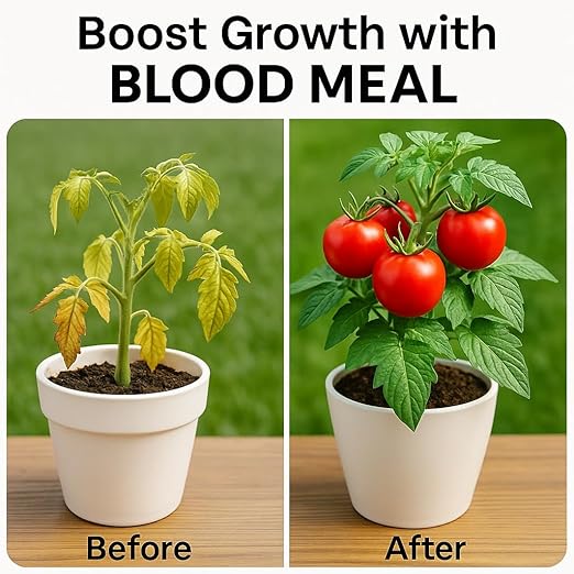 𝐁𝐄𝐒𝐓𝐒𝐄𝐋𝐋𝐄𝐑 Organic Blood Meal Fertilizer by Gardenera - 12-0-0 NPK - All-Natural Plant Food Source of Nitrogen for Organic Gardening, Flowers, Vegetables, Trees & Shrubs - 1 Quart