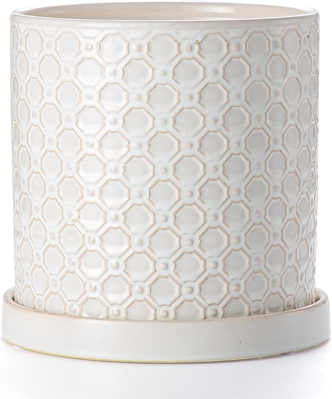 8 Inch Plant Pot: Ceramic Planter with Drainage Hole & Saucer Indoor Outdoor Plants - Cylinder Round Flower Pot for Home Office - Modern Decorative - Medium White