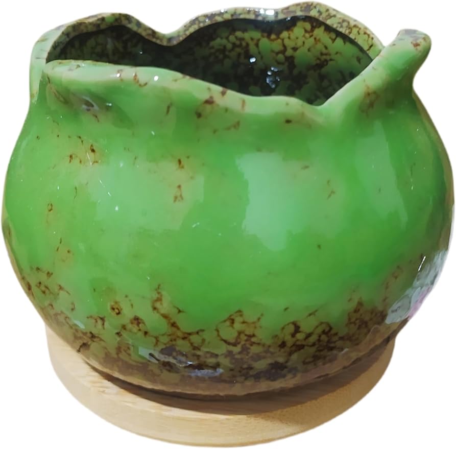Cute Circular Ceramic Home Garden Decoration Succulent Cactus Flower Pots Container with Bamboo Tray -Plant Not Included (Green, 4 Inch)