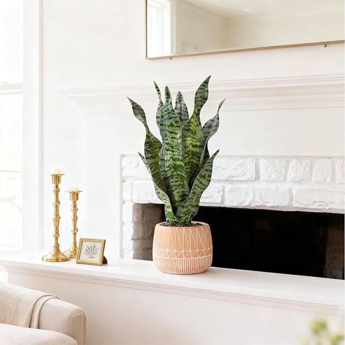 Artificial Realistic Snake Plant 17" with Concrete Pot Fake Snake Plants Sansevieria Greenery Faux Snake Plant for Home Office Living Room Housewarming Gifts Indoor Decor