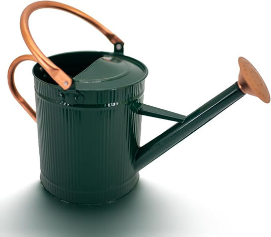 1 Gallon Watering Can, Plant Wate Can, Metal Watering Can with Removable Spout, Galvanized Watering jug, Nice Green Water Can for Indoor and Outdoor use