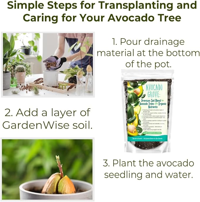 GARDENWISE Avocado Tree Soil – Premium Organic Potting Mix for Avocado Trees | Tailored pH & Organic Nutrients | Fast-Draining & Moisture-Retaining | Indoor & Outdoor Use (4 QUARTS)