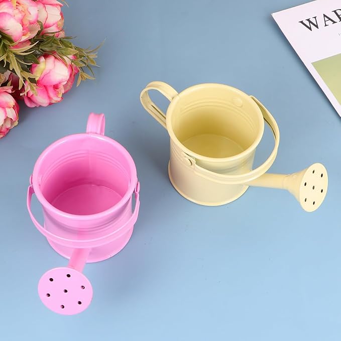 DOITOOL Kids Watering can Metal Portable Small Watering Pot for Indoor Outdoor Plants Flowers with Long Spout and Stable Base 6 Inch