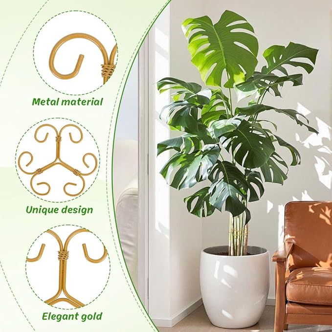 Iron Monstera Support, 3 PCS Plant Stem Support Plant Support Stakes for Indoor Plants and Flowers Stable Plant Stakes and Supports Turtle Shell Bamboo Clamp Set for Thriving Growth