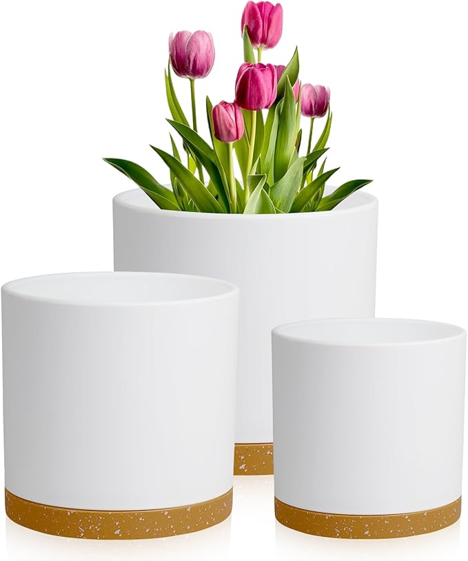 Meowell 8/7/6 inch Plant Pots, 3 Pack Cylinder Flower Pots for Outdoor Indoor Plants, Decorative Plastic Planters with Drainage Holes and Saucers for Garden House Plants, White with Brown