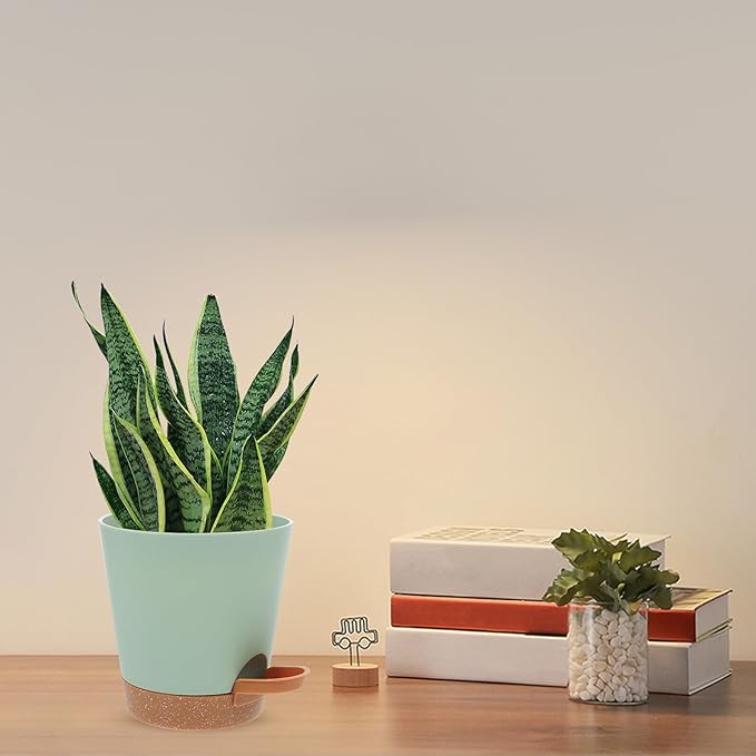 GANAZONO 5pcs Self Watering Planter Pots Set for Indoor Balcony Garden, Plastic Flower Containers with Detachable Clips, Automatic Watering Succulent Planters in Green