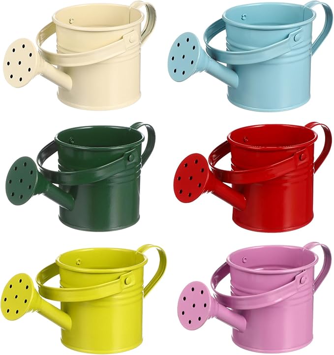 6PCS Kids Metal Watering Can Indoor Plants Small Watering Can for Indoor Plants Mini Gardening Tool Tiny Kettle for Gardening