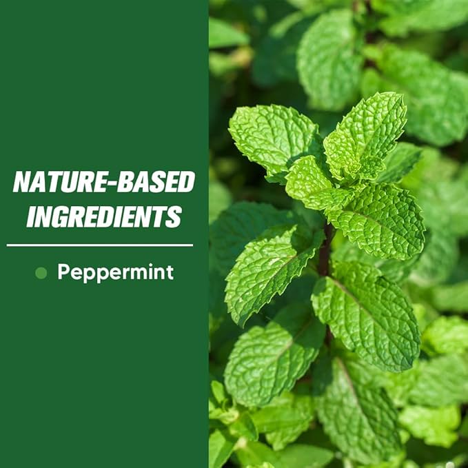 LAQDECDV Pest Control, Mice Repellent Indoor, Mouse Repellant Pouches, Rodent Repellent, Peppermint to Repel Ant, Roach & Spider, Rat Deterrent for House, Keep Mice Away, Safe and Easy to Use-8P