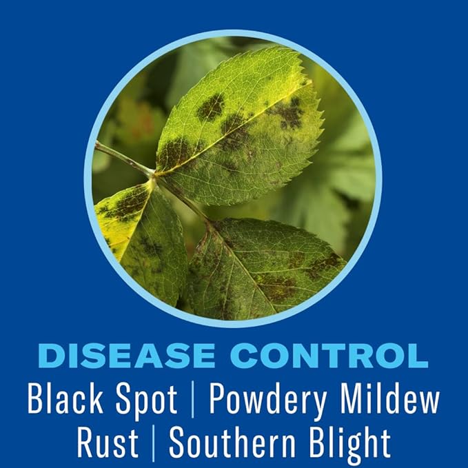 BioAdvanced Shrub Care Protect & Feed, Granules, 4 lb, Shrub Fertilizer