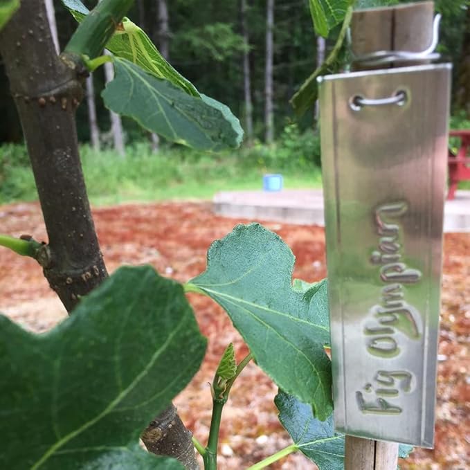 Aluminum Plant Labels - 200PCS Metal Tags with Wires for Plant Markers, Tree Tags, Outdoor Identification and Greenhouse