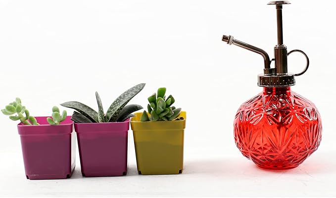 Hniuyun Glass Plant Mister Spray Bottle, 6.5inch Tall Vintage Round Spritzer with Bronze Plastic Top Pump for Watering Your Garden (Red)