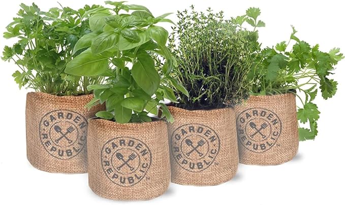 Herb Seed Growing Kit Herb Garden Starter Kit DIY Grow Indoor Garden Set for Home Plant Starters Balcony