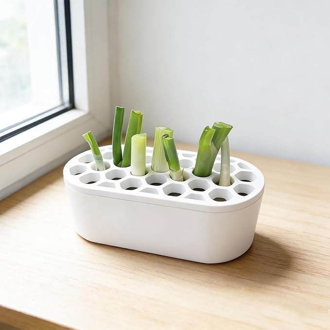 3D Printed Hydroponic Scallion Planter - Compact Indoor Growing Kit Regeneration Container for Fresh Scallions, Green Onions, and Chives