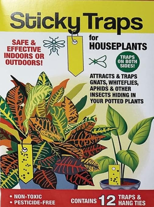 24 Pack Sticky Yellow Plant Traps for Fungus Gnat, Fruit Fly, Aphids, Whiteflies, Thrips, Blackflies, Leafminers- Indoor & Outdoor- Pet Safe-No pesticides
