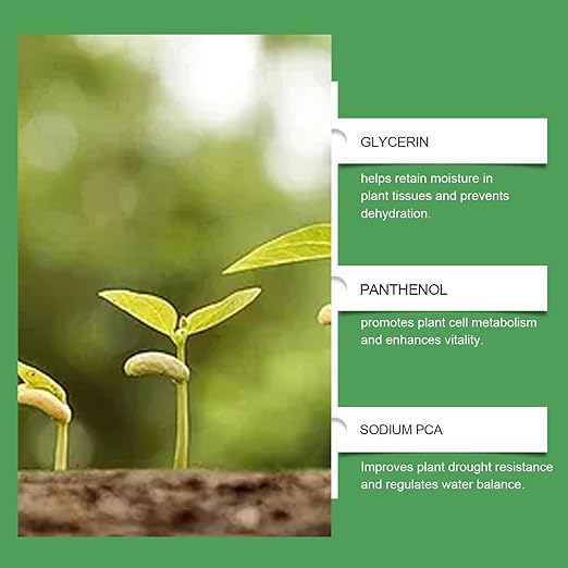 Plant Food for Houseplants - Indoor Plant Fertilizer, Growth Tonic | 120ml Natural Liquid Formula for Greenery Roots Hydroponic Garden Soil Booster Leaf Shine Care Herb Shrubs Blossom Support