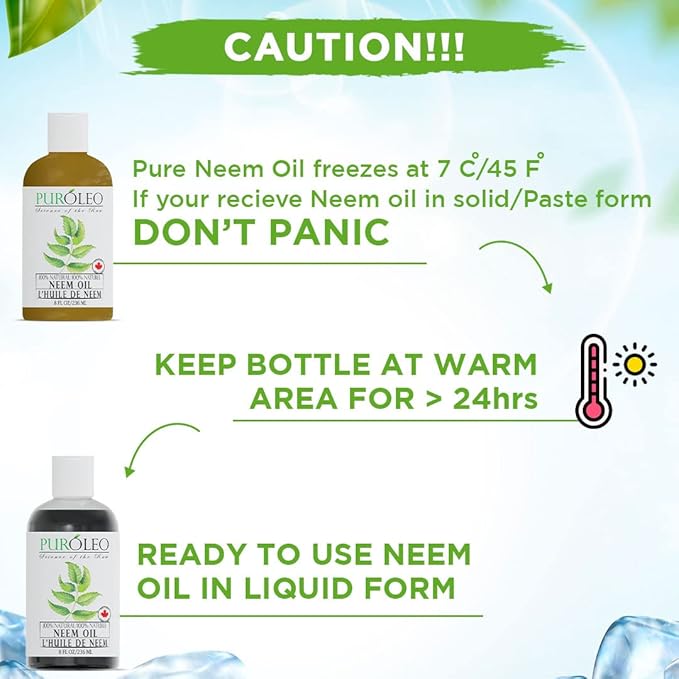 PUROLEO NEEM Oil 8 Fl Oz/236 ML (Packed in Canada) 100% Pure and Natural Neem Oil for Multipurpose Use | Neem extracted from NEEM Plante Chemical Free Neem for Spray