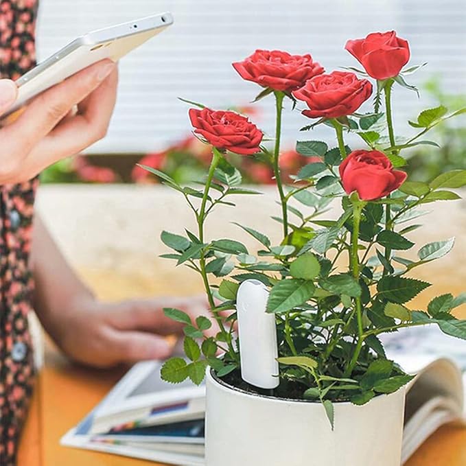 Soil Moisture Meter 4 in 1,Plant Water Monitor,Automatically detect Moisture/Temperature/Light/Fertility,Can Connect to Mobile Phone via Bluetooth,Hygrometer Sensor for Indoor Plants (2pc)