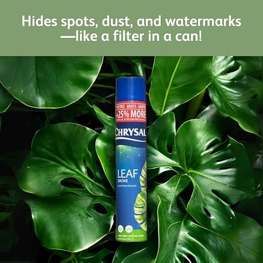 Chrysal LeafShine Spray for Indoor Plants (25oz 3 Pack)