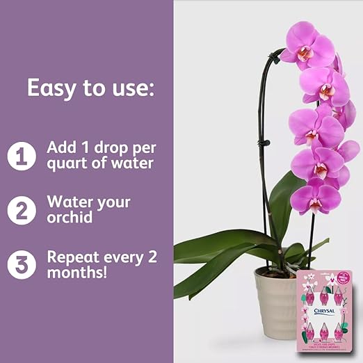 Chrysal Orchid Food Drops — Orchid Care — One Pack for a Year Supply — Concentrated Flower Food for All Species of Orchids — Ideal Florist Supplies — Outdoor and Indoor Plant Food (3 Pack)