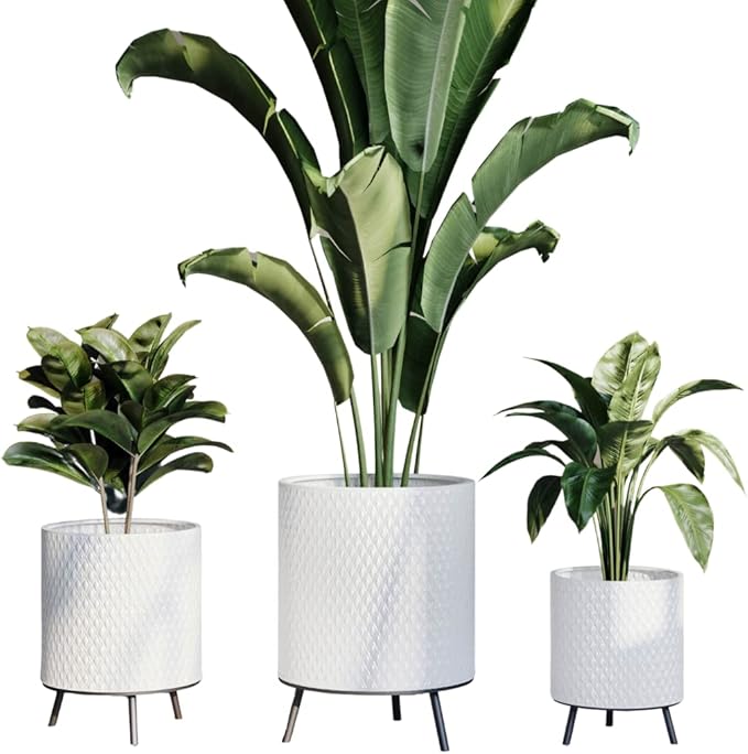 EverNest Claire Honeycomb Neutral Modern White Planter with Nyra Stand, Indoor Plant Pots, SelectBase, Mid-Century Modern, Boho Style Home Decor for Plants (Set of 3, Black)