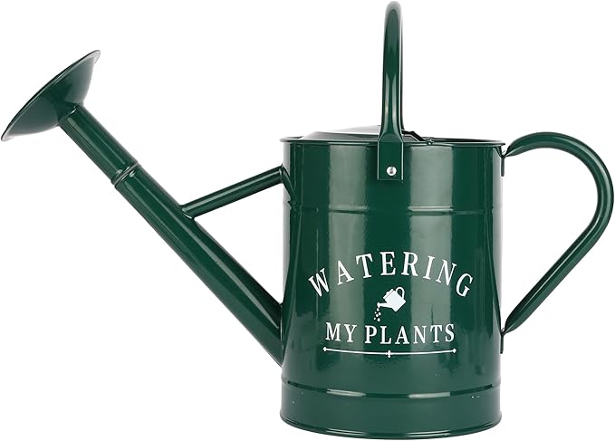 Garutom Galvanized Watering Can for Outdoor Indoor Plants, 1 Gallon Decorative Countryside Water Can with Removable Spout, Metal Watering Can for Indoor Plants and Garden Flower (Green)