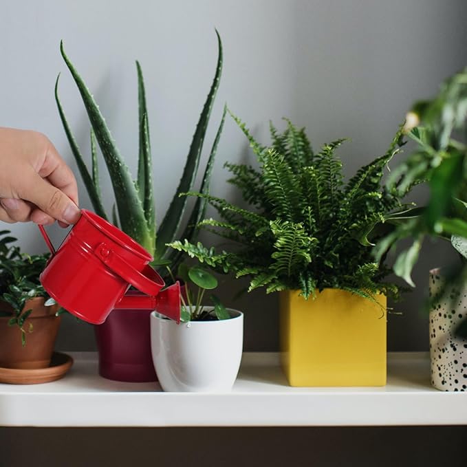 2PCS Metal Watering Can,Small Iron Kid Watering Can Indoor Plants Sprinkling Kettle with Long Spout,Boys Girls Garden Watering Pot for Outdoor Plants or Play Time(Random Colors)