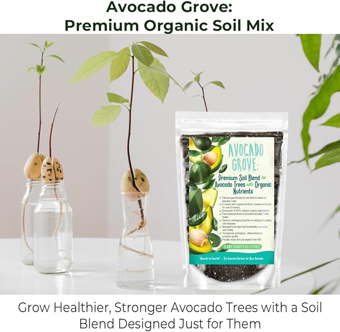 GARDENWISE Avocado Tree Soil – Premium Organic Potting Mix for Avocado Trees | Tailored pH & Organic Nutrients | Fast-Draining & Moisture-Retaining | Indoor & Outdoor Use (10 QUARTS)