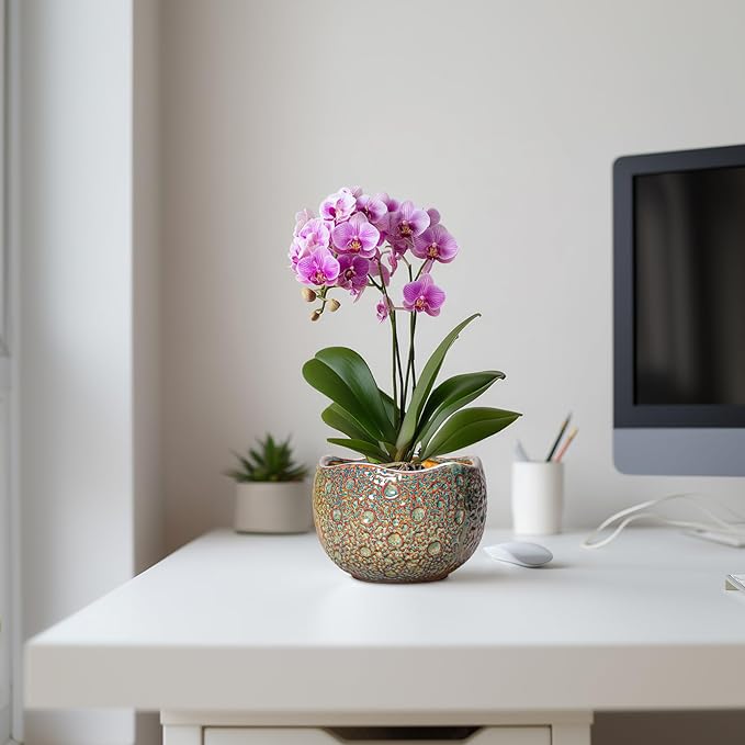 Ceramic Plant Pots - 6 Inch Plant Pot with Drainage Hole and Plug, Unique Planter for Indoor Plants Outdoor, Modern Planter, Round Orchid Pot, Room Decor, House Warming Gifts, Speckled-brown