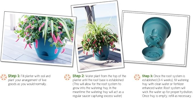 Bloem Living LP0860 Lucca Self-Watering Planter, 8-Inch, Peppercorn