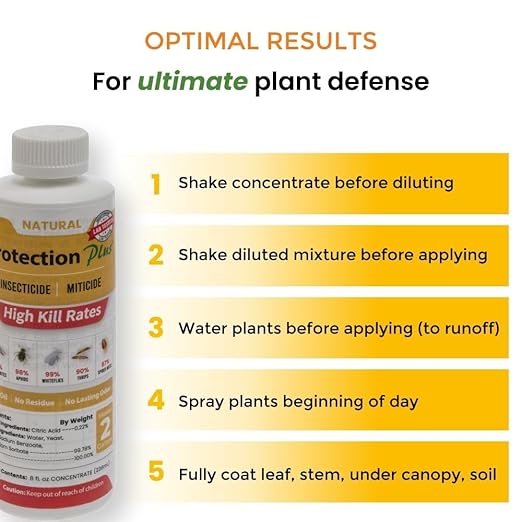 Environmental Plant Management Protection Plus Ready To Use | Oil-Free Contact Insecticide for Plants | Kill Aphids, Whiteflies, Spider Mites & Other Soft-Bodied Pests | Natural | Indoor & Outdoor Use