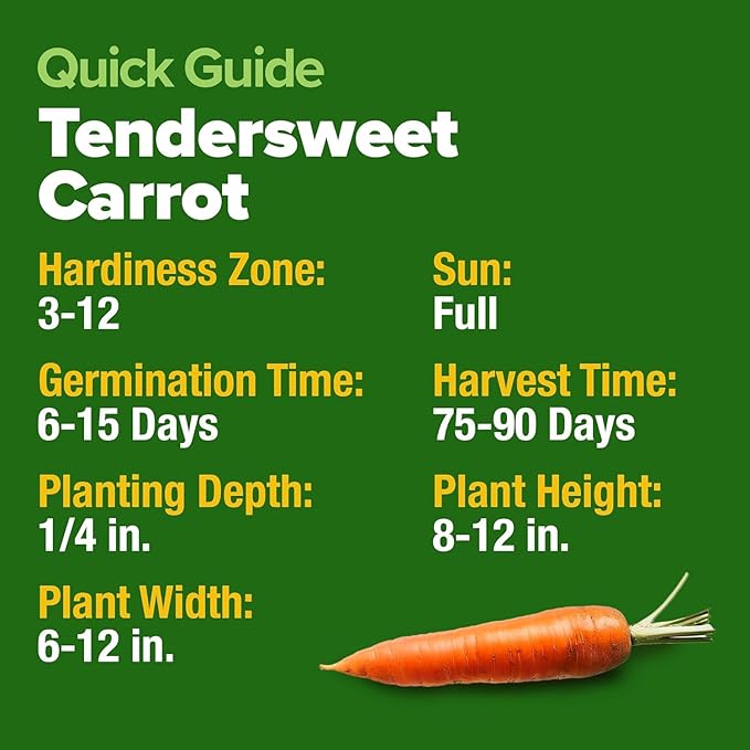 HOME GROWN Tendersweet Carrots Seeds 3000+ Heirloom Non-GMO Seeds for Planting, High Germination, Sweetest Coreless Root Vegetable, Crunchy Summer Garden (Daucus carota subsp. sativus)