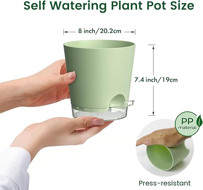Meowell 8 inch Self Watering Pots for Indoor Outdoor Plants, 2 Pack Flower Plant Pots with Drainage Holes & Clear Reservoir for Visible Water Level, Plastic Wicking Planters for House Plants, Green