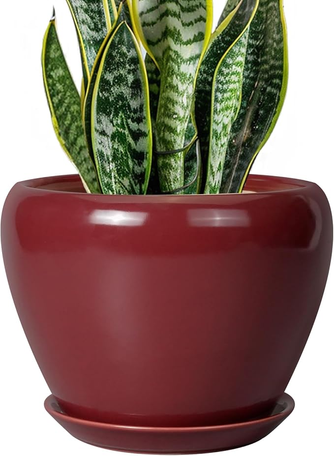 Ceramicfor Ceramic Planter - 8 Inch Plant Pot Indoor with Drainage Hole and Saucer Planter for Outdoor Plants Round Flower Pot for House Patio Decor Red