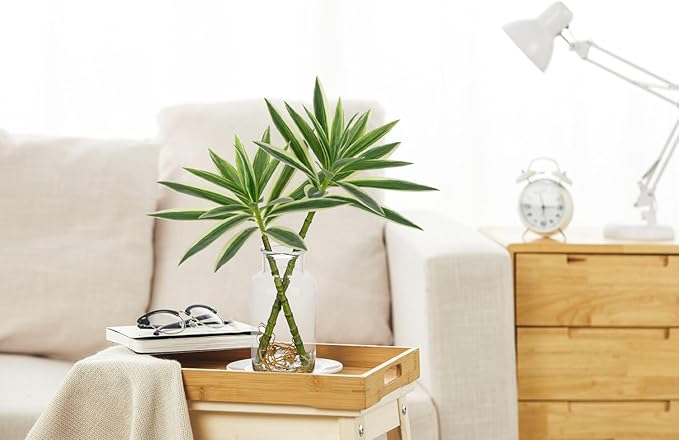 Artificial Plants Stems in Glass Vase with Faux Water,Fake Silk Plant Dracaena Leaves for Centerpiece Table Decorations Farmhouse Wedding Home Greenery Decor (Green and White)