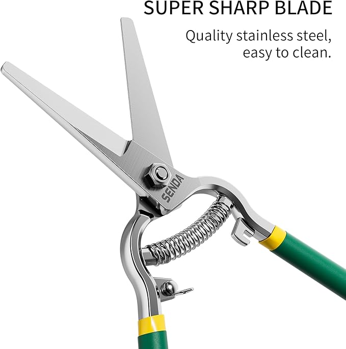 8" Pruning Shears, Dual-Color Coated Garden Scissors with Non-Slip Ergonomic Handle, Bypass Pruning Shears for Gardening, Trimming & Branch Cutting