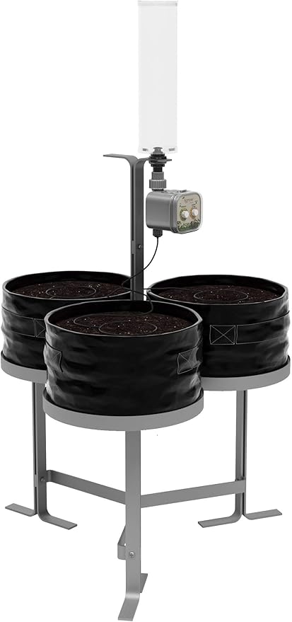 Harmony Garden Herbs and Vegetables Grow kit - Black