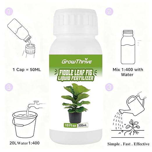 Organic Fiddle Leaf Fig Fertilizer Liquid - 10oz Microbial Probiotic Plant Food for Ficus Lyrata - Promotes Roots & Greener Leaves