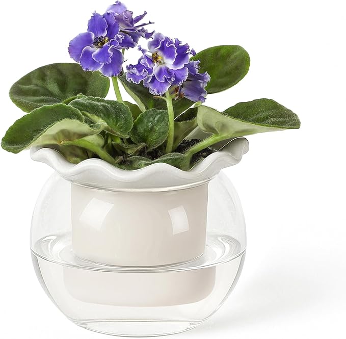 Fayoula 6 Inch African Violet Pots Maintenance, Glass Self-Watering Planter for Indoor Plants - Ideal Flower Pot for Thriving Indoor Gardens, Pots Only (Version 2)